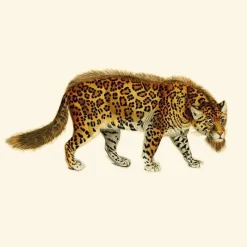Clearance Bearded Leopard Behang Birch White Behang