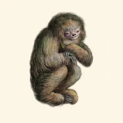 Sale Blushing Sloth Behang Gold Behang