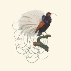 Calligraphy Bird Behang Blossom Behang
