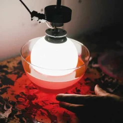 Hot Dipping Light Tafellamp Medium Tafellampen