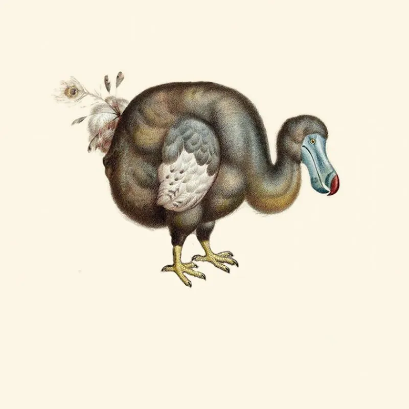Sale Dodo Pavone Behang Powdery Blue Behang