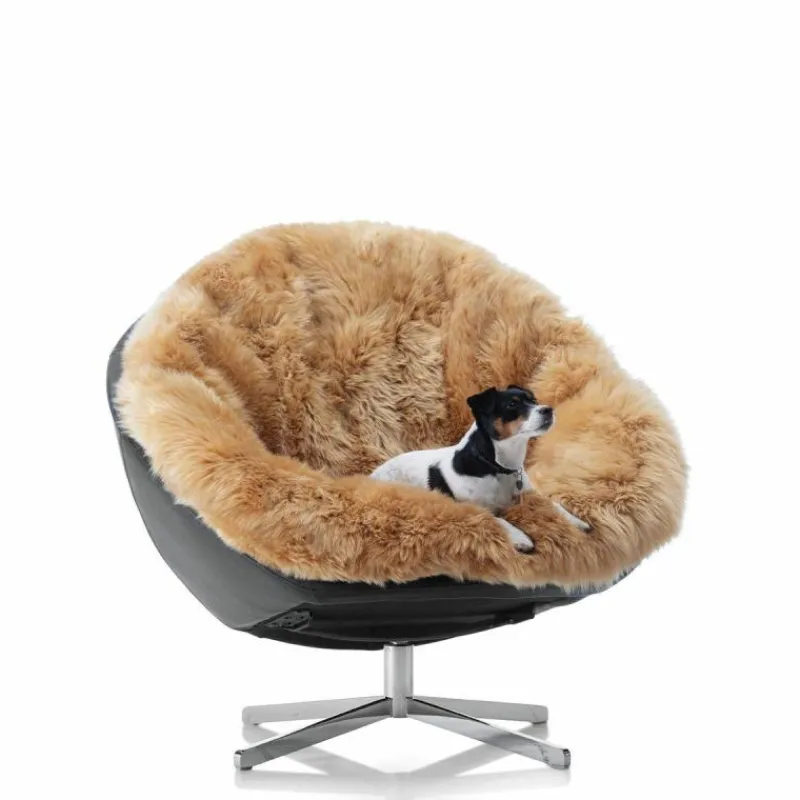 DS-265 Fauteuil Fauteuils