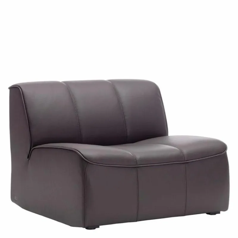 Clearance DS-910 Fauteuil Fauteuils