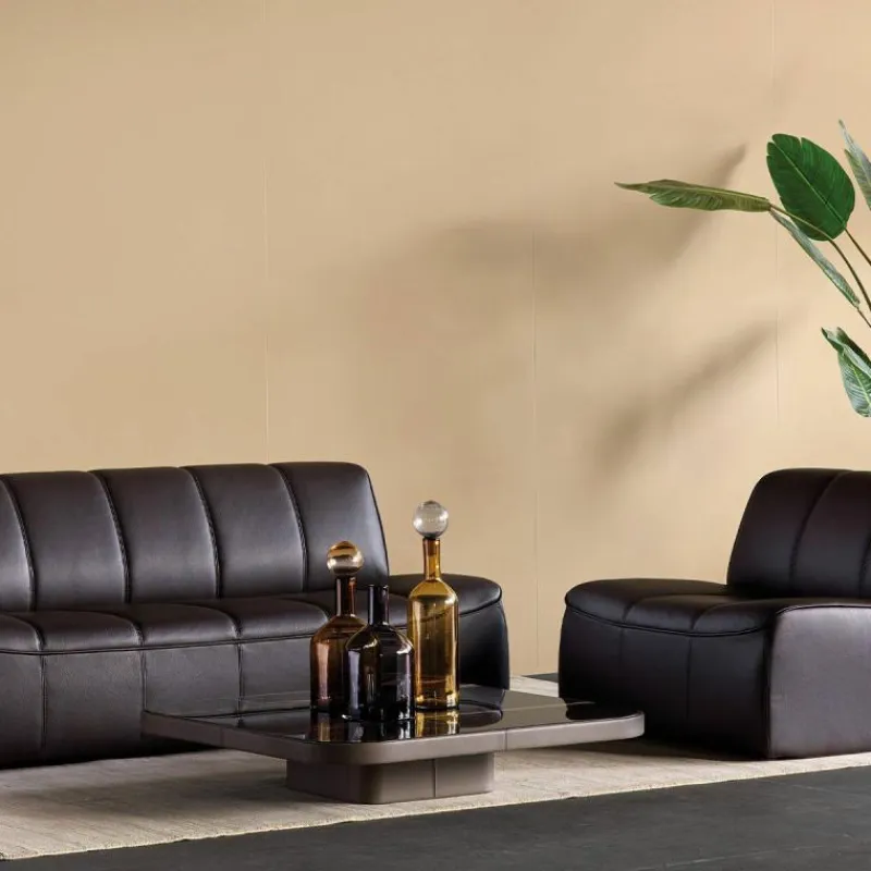 Clearance DS-910 Fauteuil Fauteuils