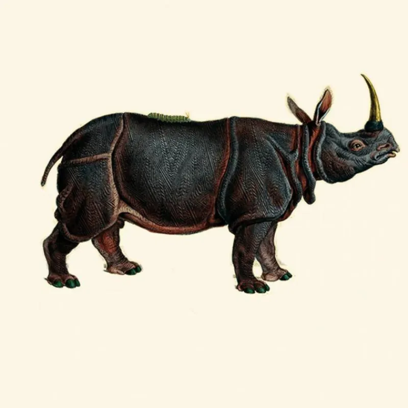 Clearance Dwarf Rhino Behang Sage Behang