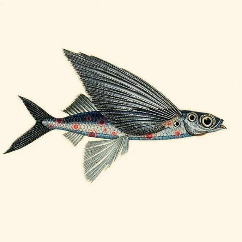Outlet Flying Coral Fish Behang Pearl Behang