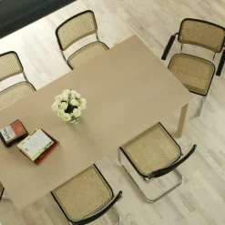 New S64 Armstoel Eetkamerstoelen